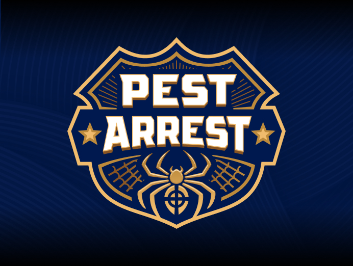 Spider Pest Control in Santa Clarita, CA