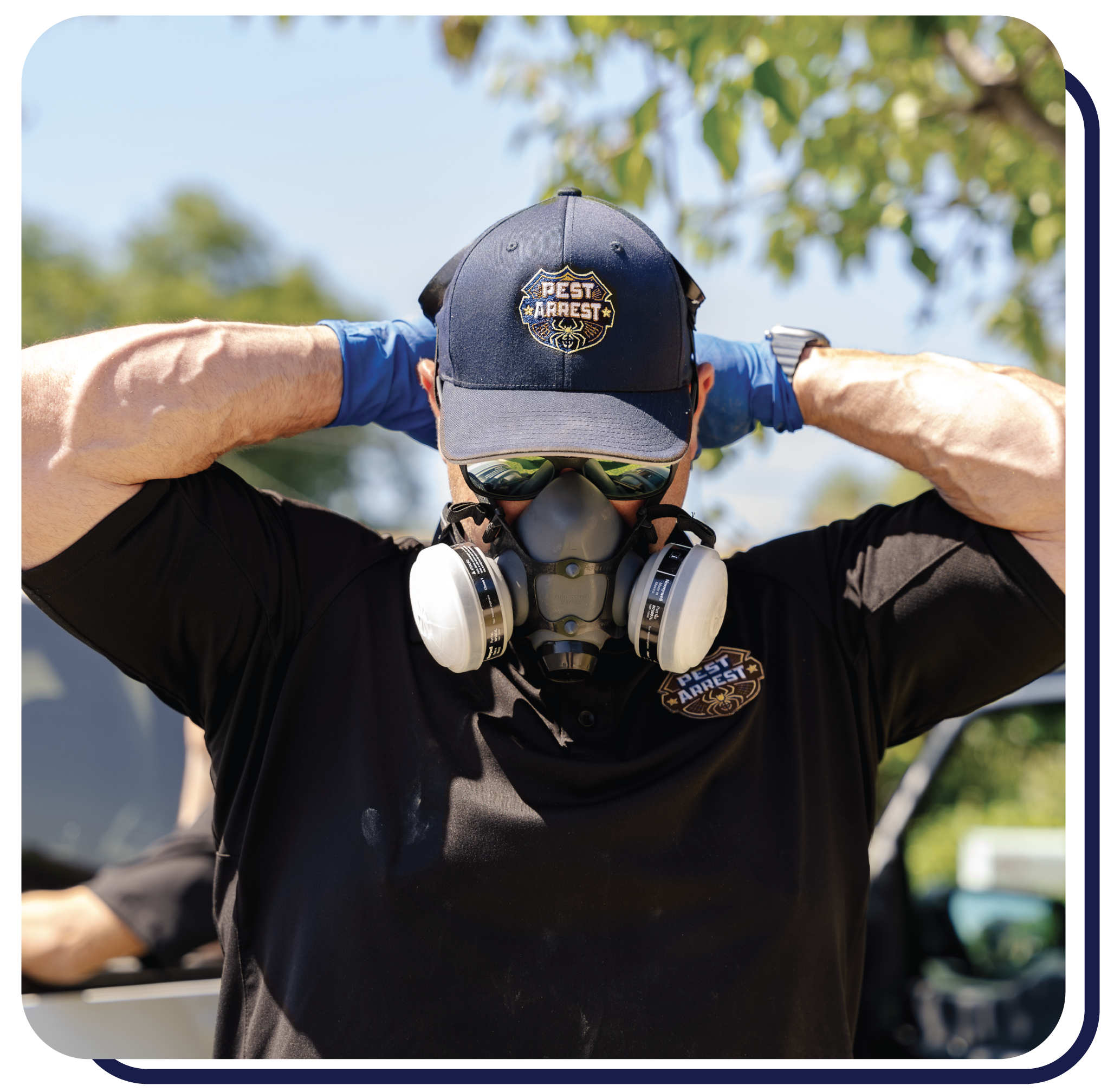Rodent Control in Santa Clarita, CA